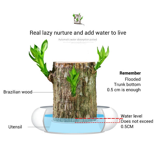 Brazilian Lucky Wood (Buy 1 Get 1 Free )