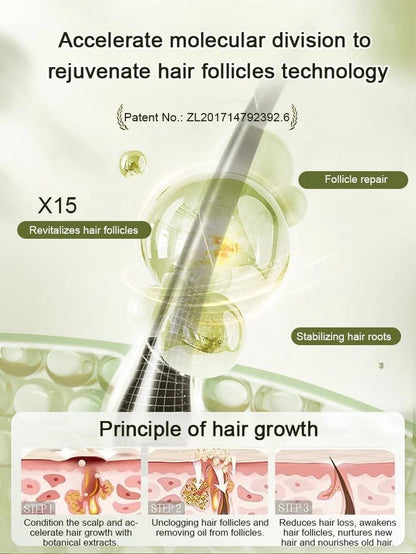 Ginger Plant Extract Anti-Hair Loss Hair Shampoo✨ BUY 1 GET 2 FREE- export